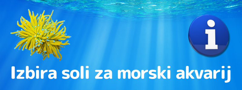 Katero sol naj uporabim v morskem akvariju